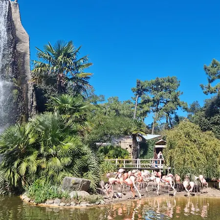 בית נופש 1 Bedroom Stunning In *